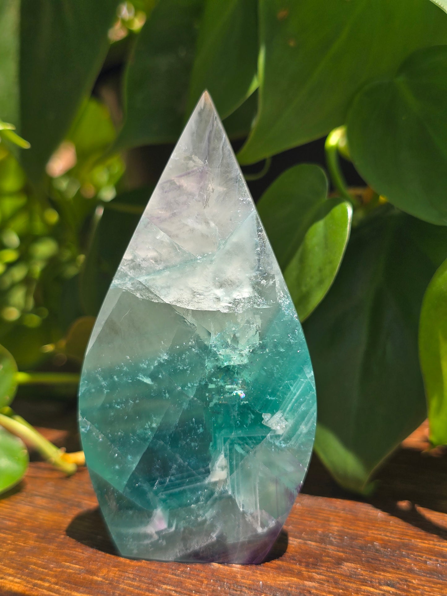 Rainbow Fluorite Flipper "B"