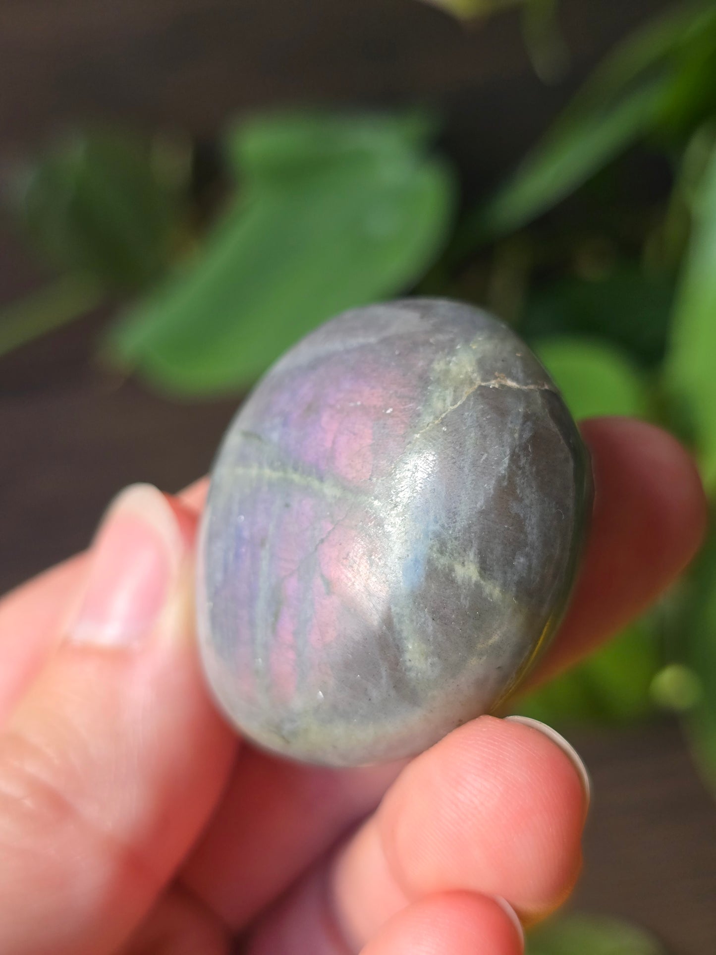 Labradorite Palm Stone