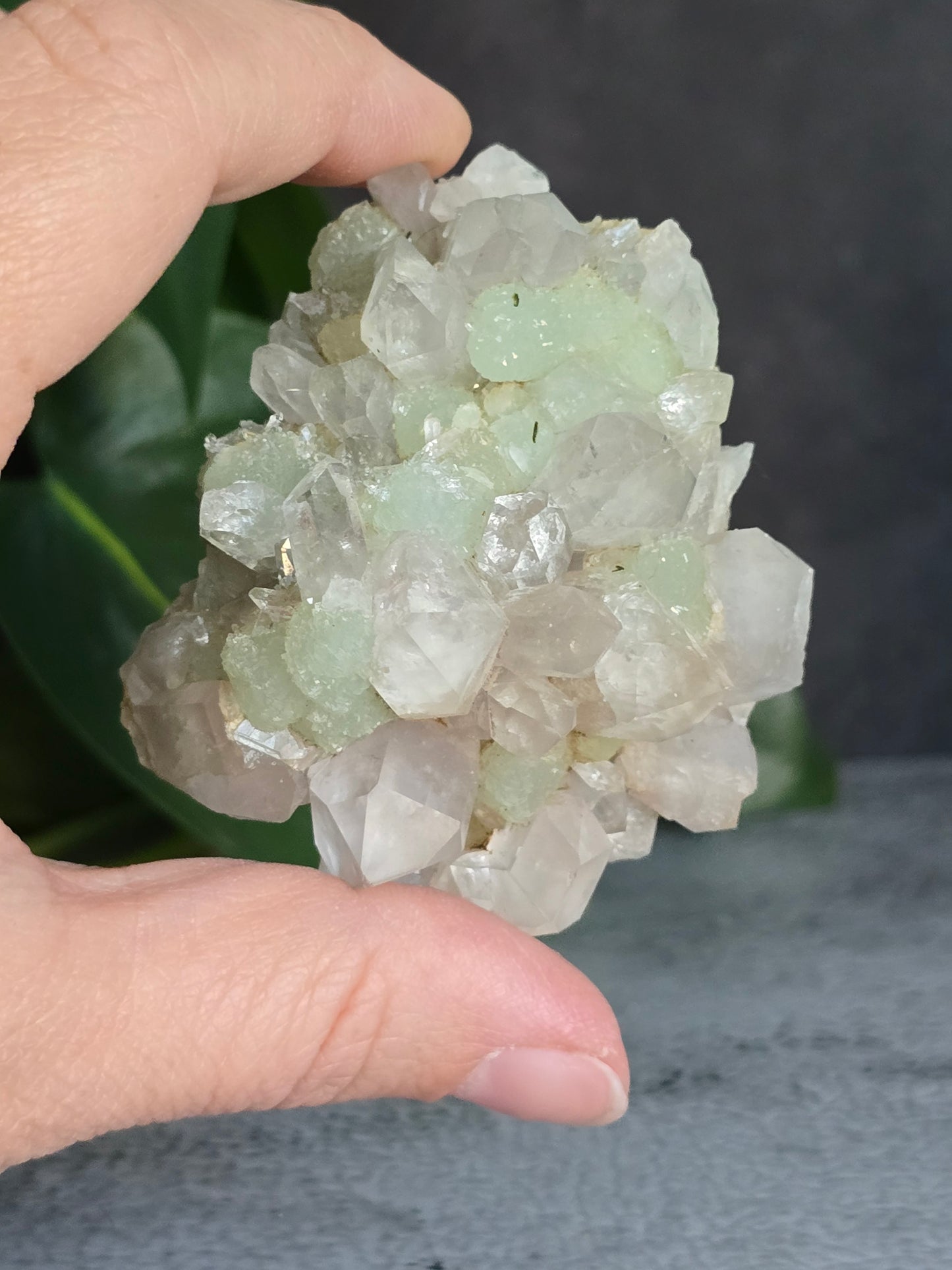 Prehnite and Epidote on Quartz Matrix