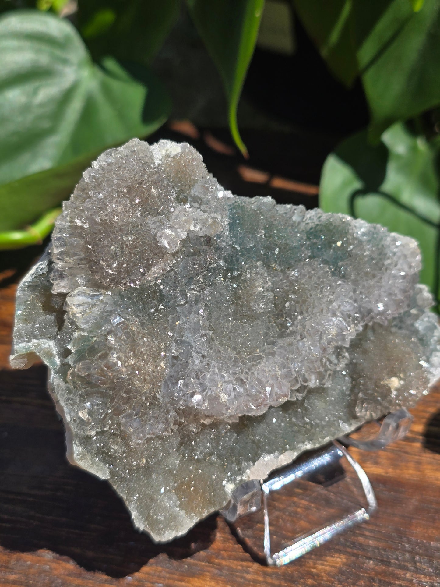 Brazilian Impression Amethyst Plate