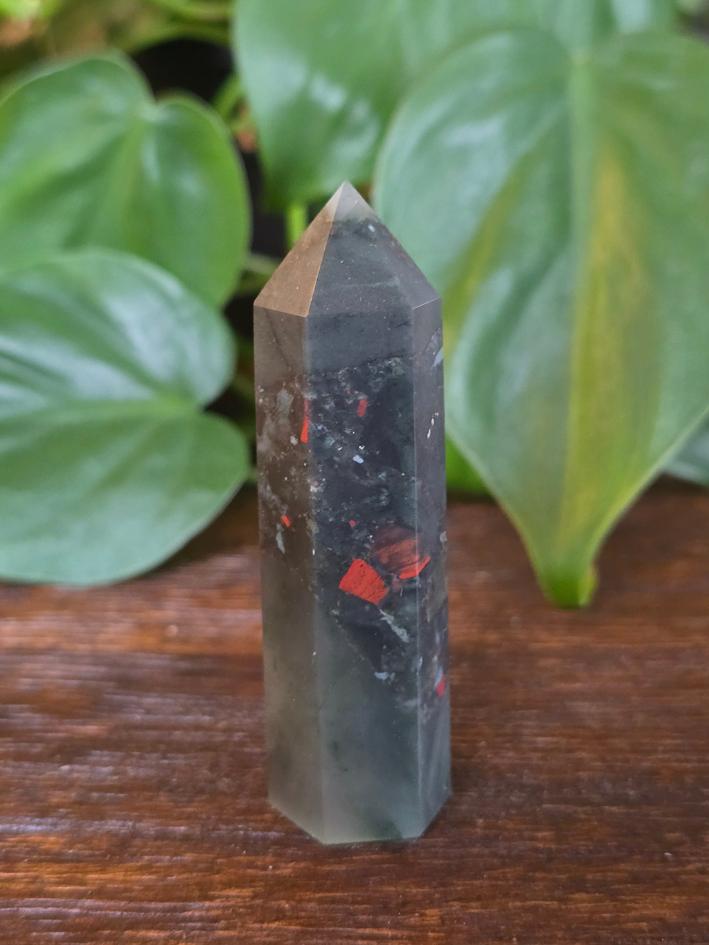 African Bloodstone Point "I"