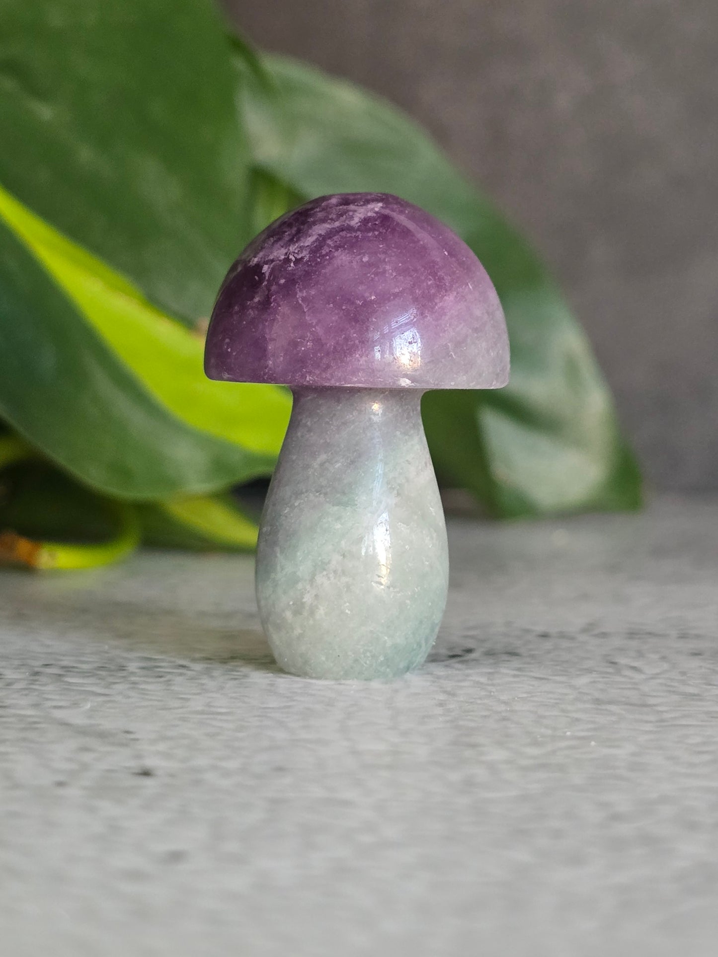 Fluorite Mushroom