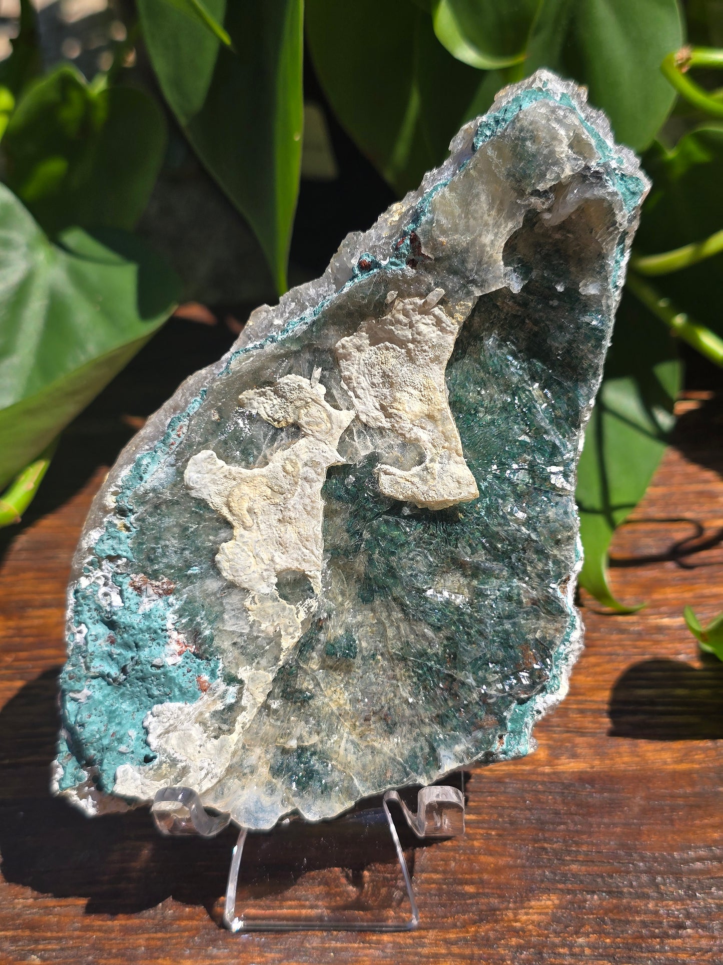 Brazilian Impression Amethyst Plate