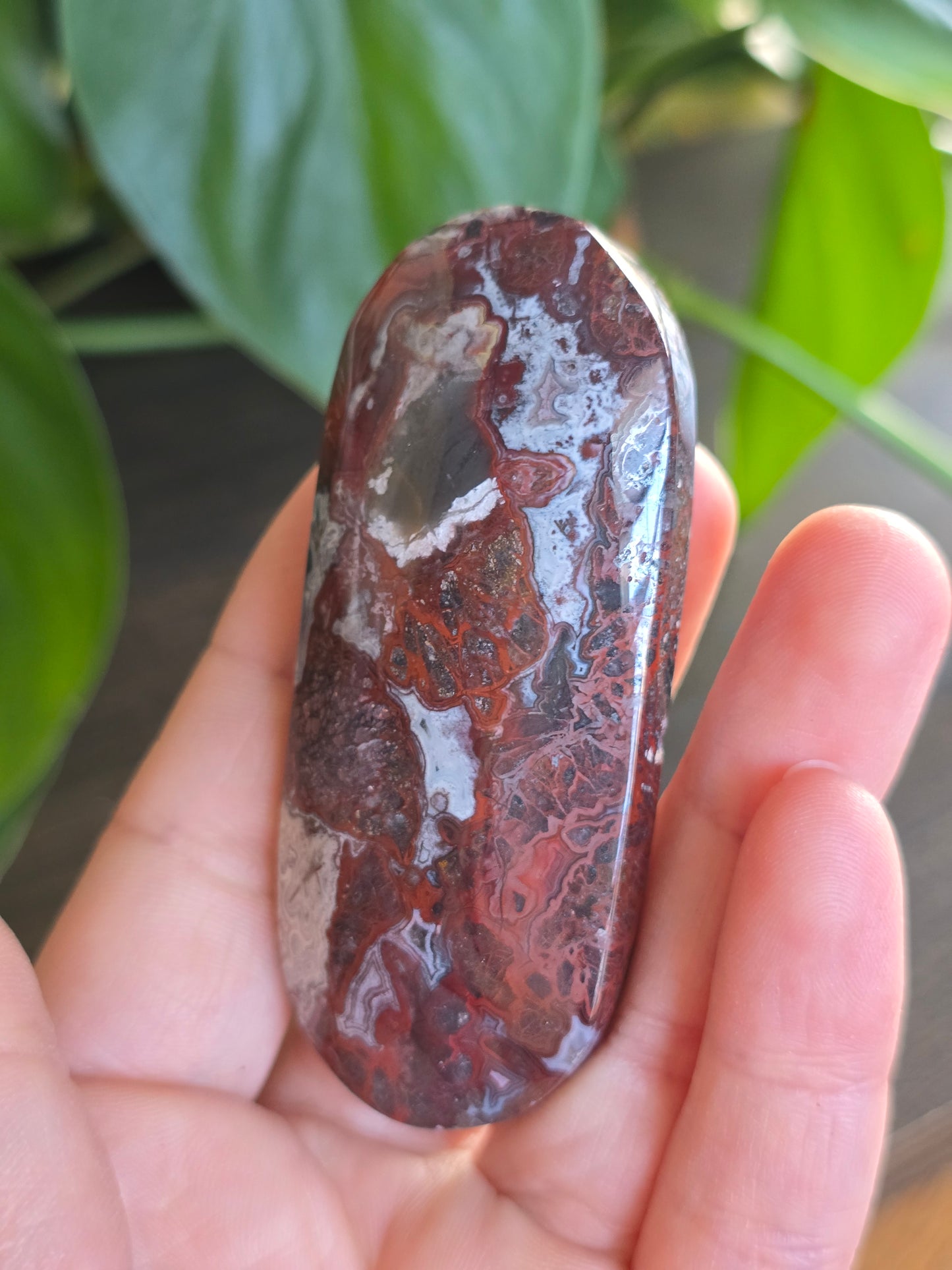 Red Mexican Crazy Lace Agate Palm Stone