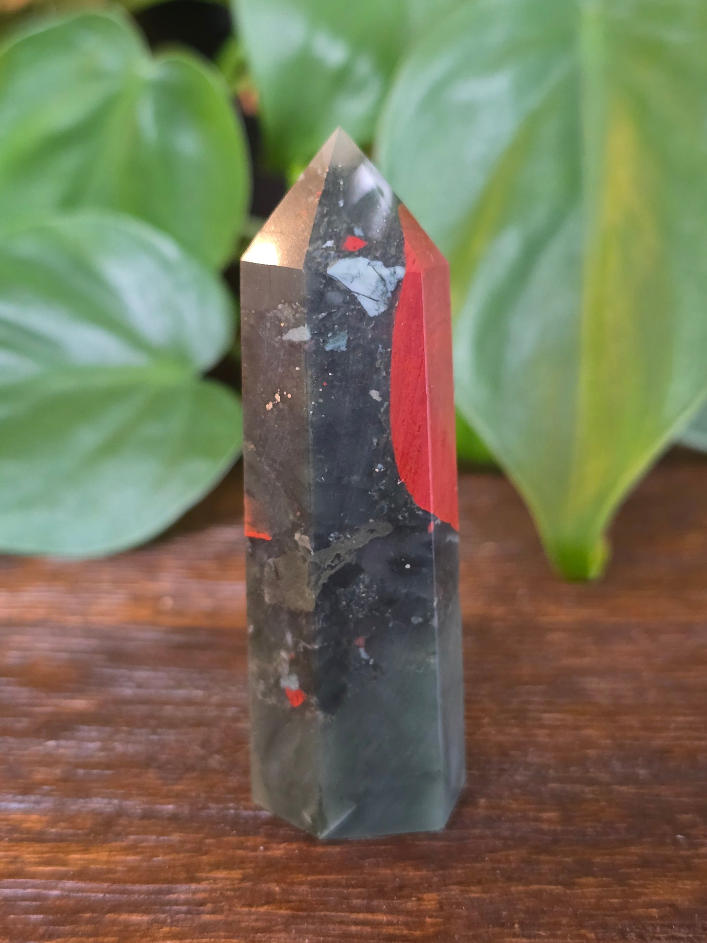 African Bloodstone Point "I"
