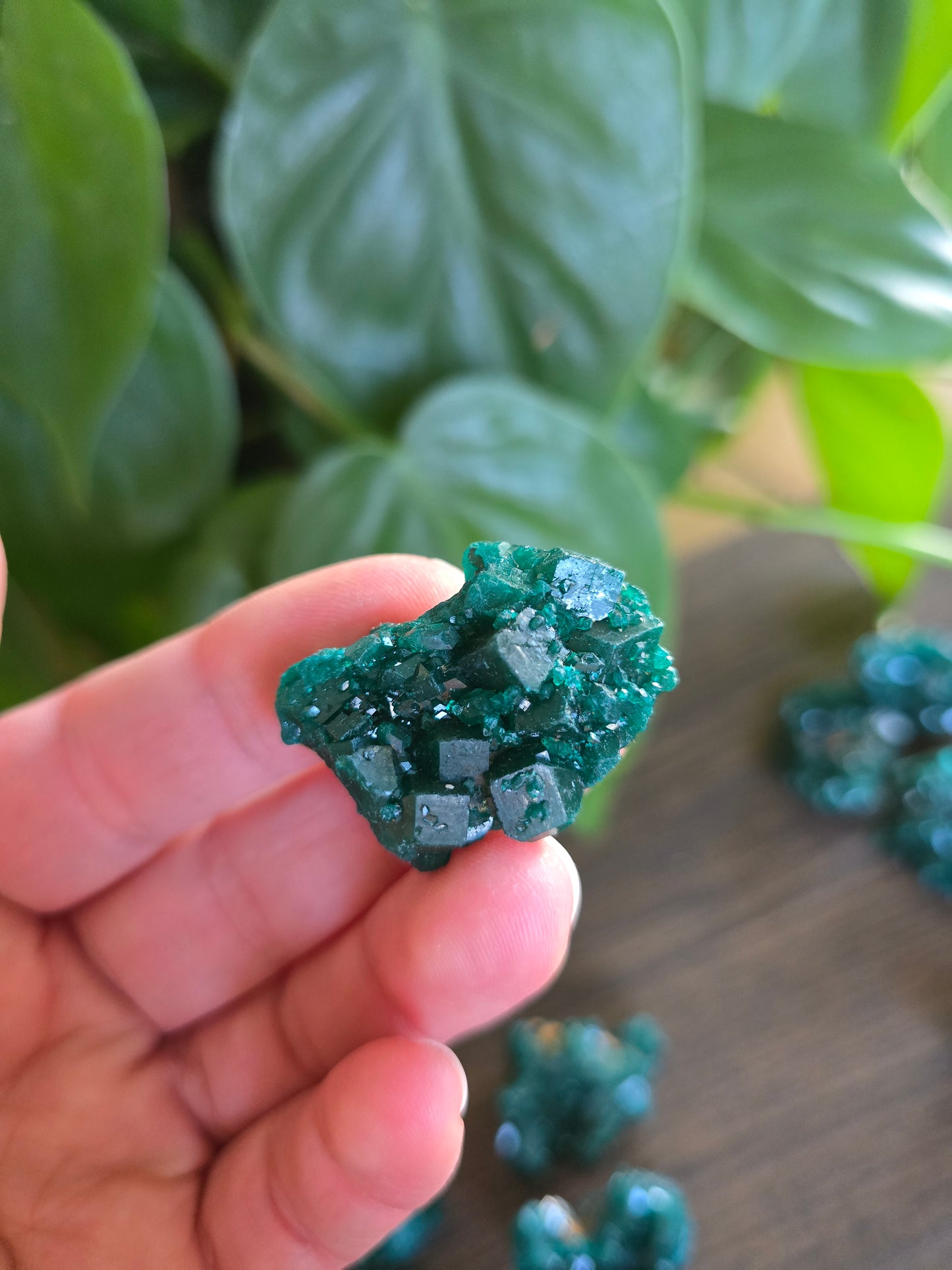 Dioptase Rough Specimen - Congo (19)