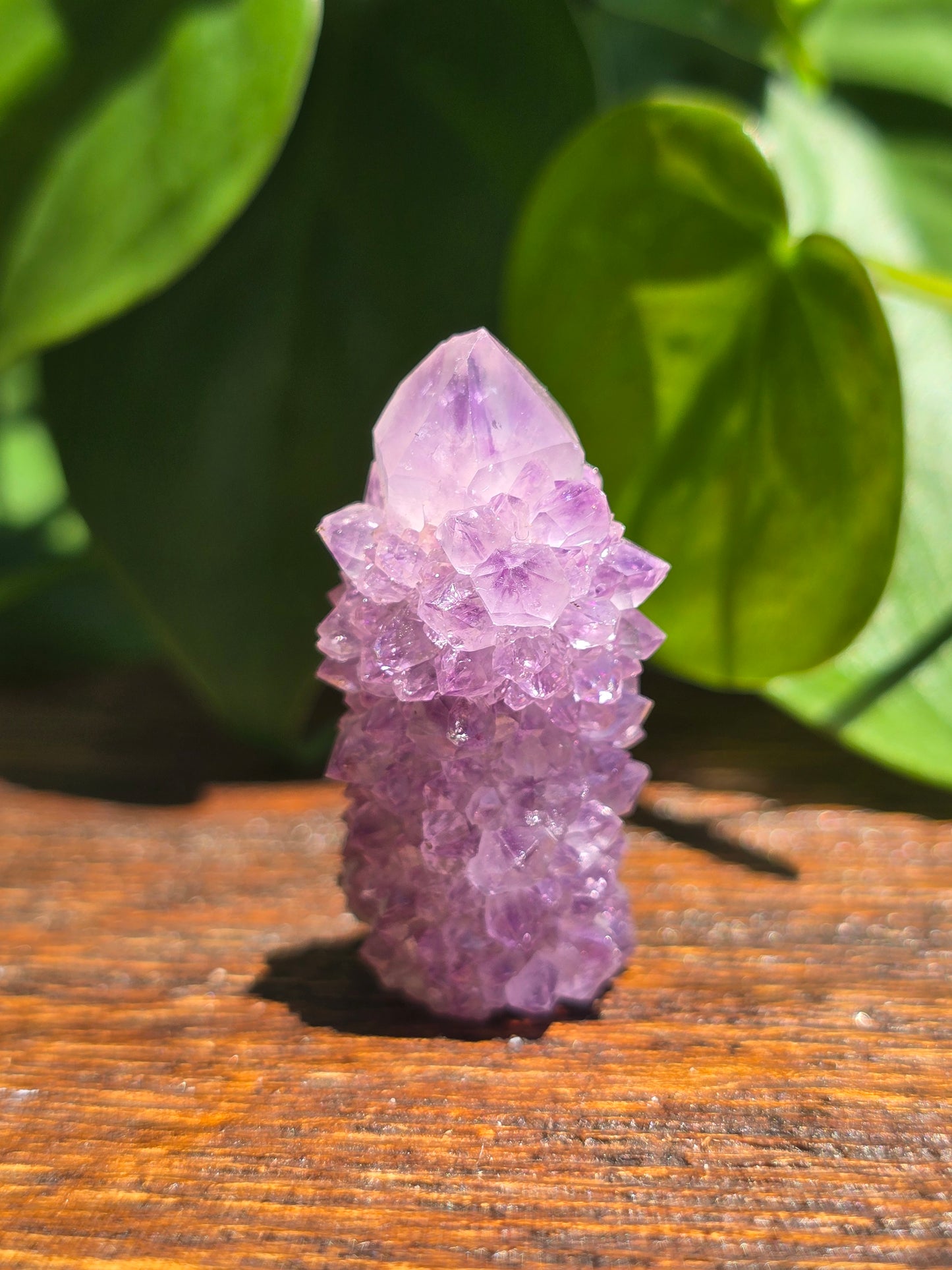 Amethyst Spirit Cactus Quartz Crystal Specimen "G"