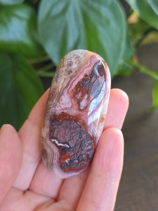 Red Mexican Crazy Lace Agate Palm Stone