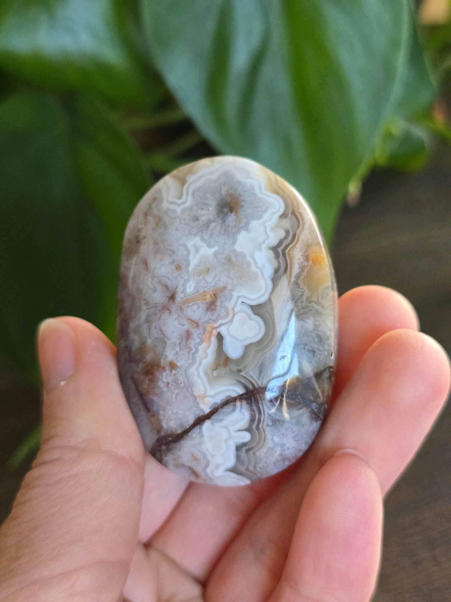 Red Mexican Crazy Lace Agate Palm Stone