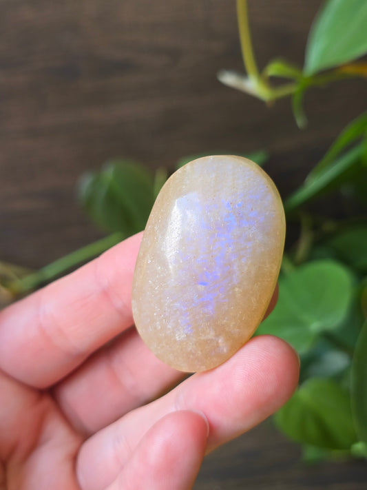 Peach Moonstone Palm Stone