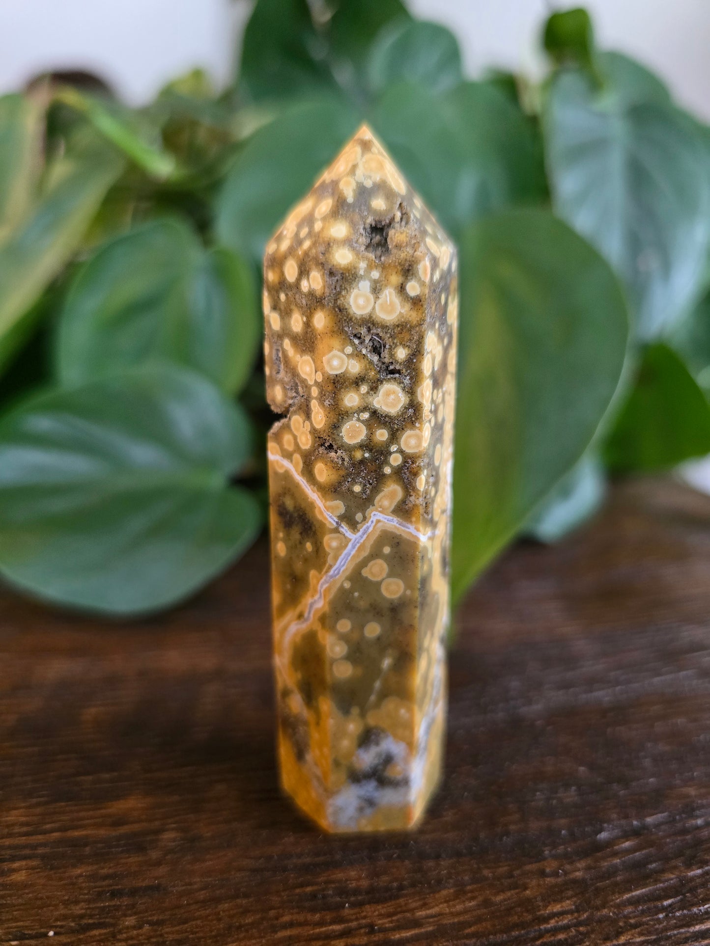 Ocean Jasper Tower "E"