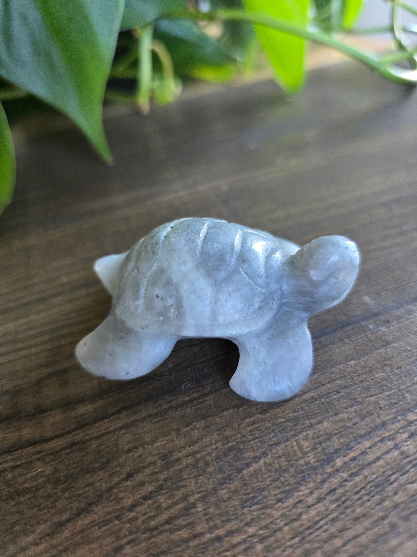 Labradorite Turtle Carving (Low Flash)