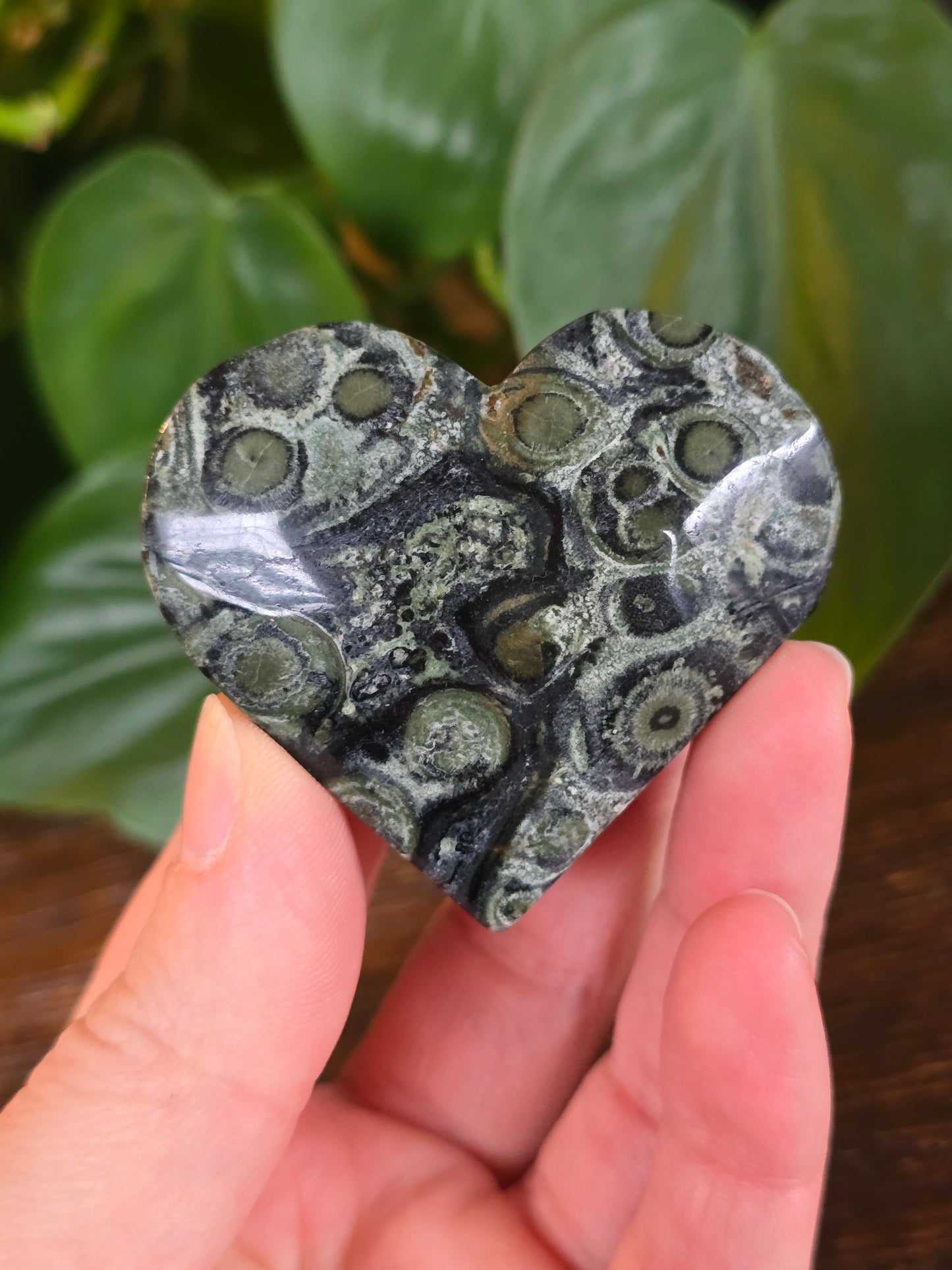 Kambaba Heart "B"