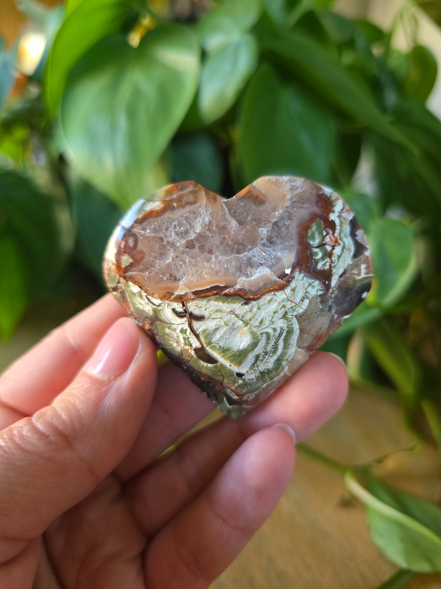 Money Agate Heart