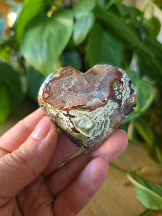 Money Agate Heart