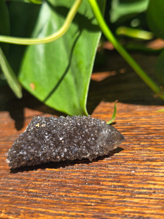 Smoky Black Spirit Quartz Specimen "F"