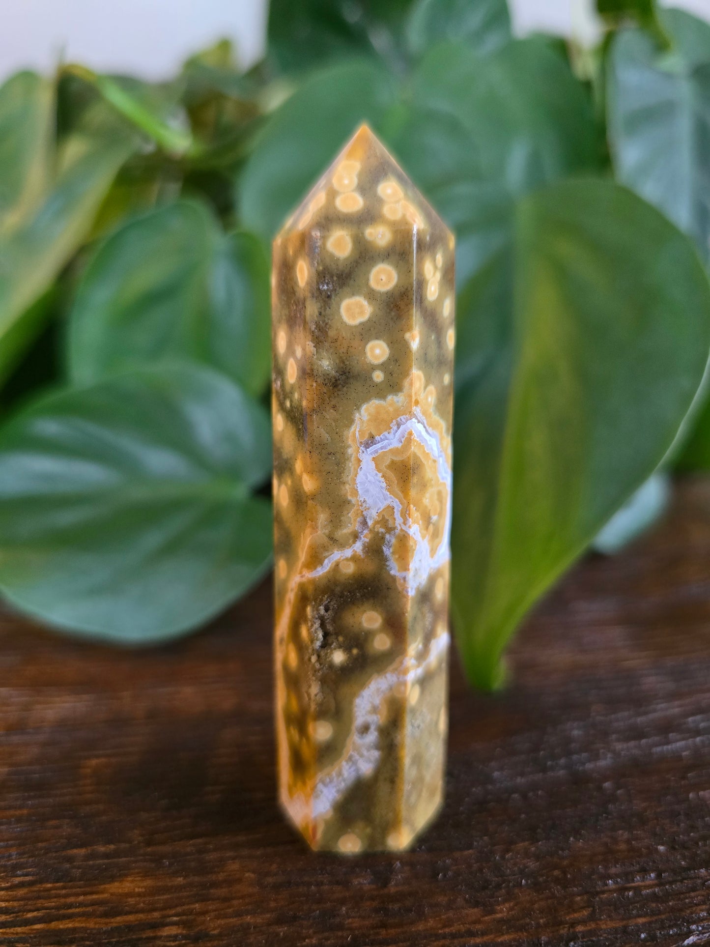 Ocean Jasper Tower "D"