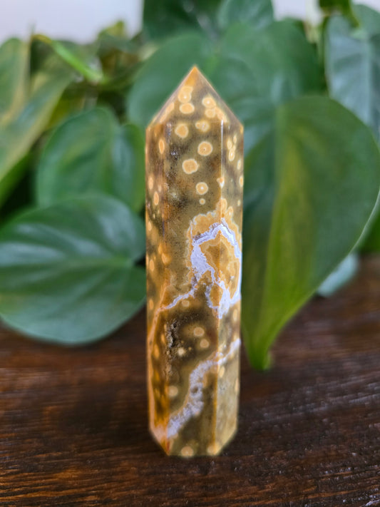 Ocean Jasper Tower "D"
