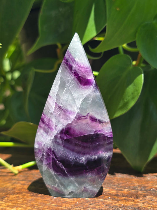 Rainbow Fluorite Flipper "C"