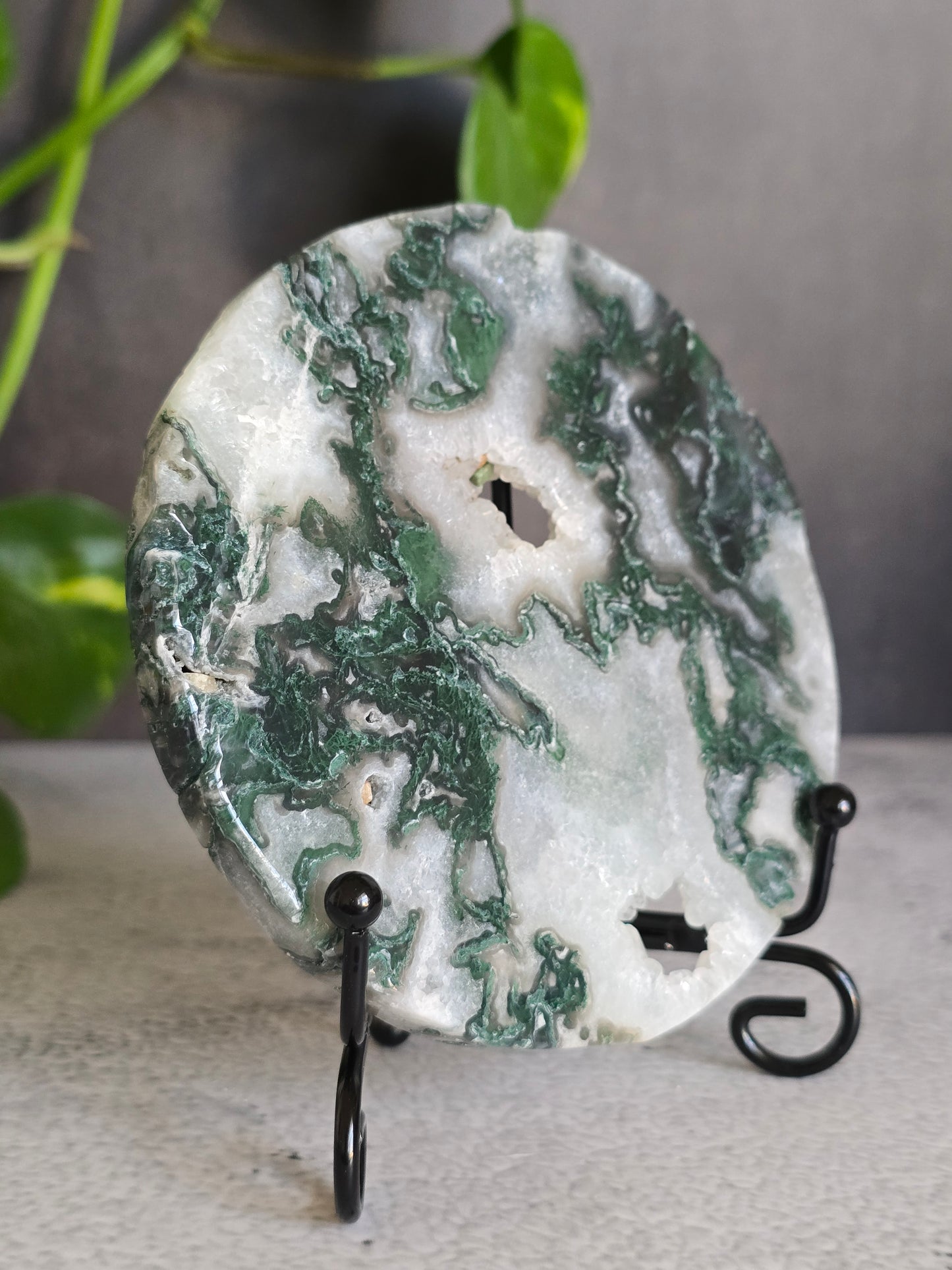 Moss Agate Disc