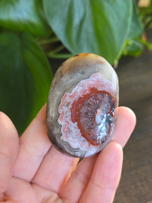 Red Mexican Crazy Lace Agate Palm Stone