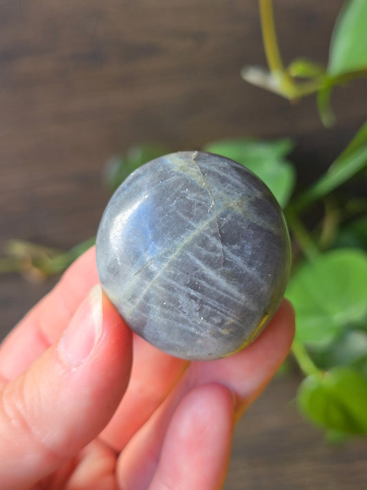 Labradorite Palm Stone