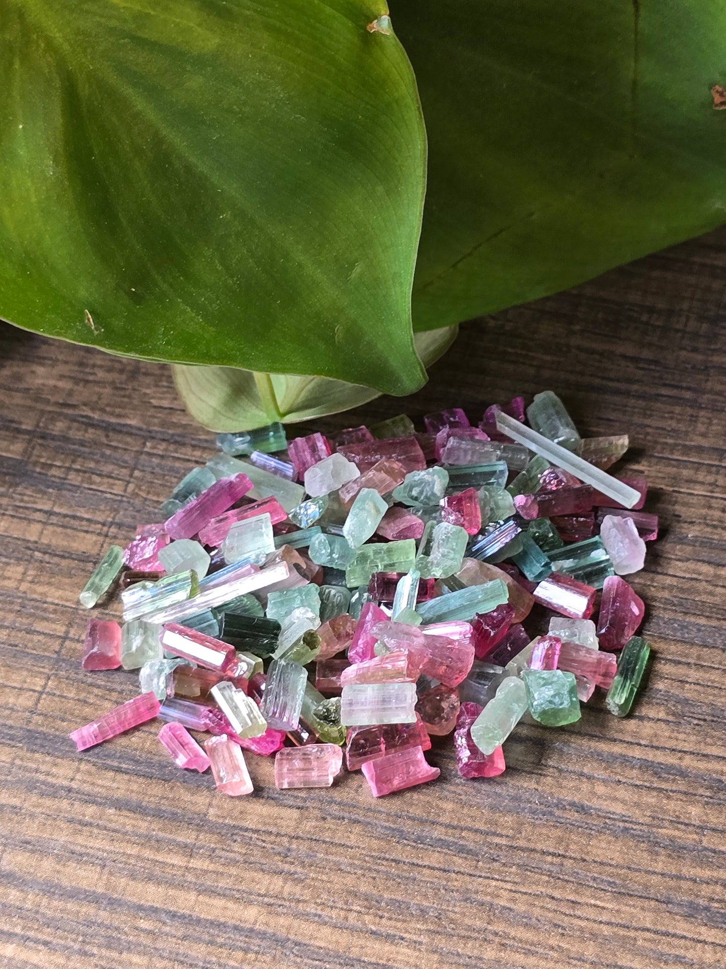 Watermelon Tourmaline