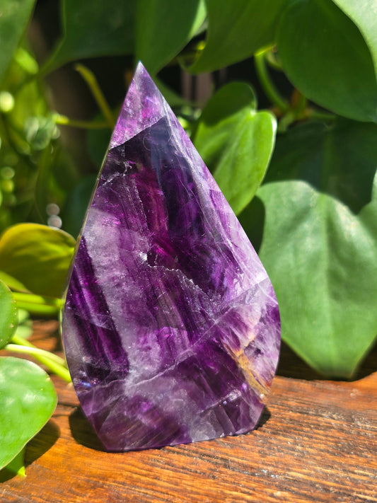 Rainbow Fluorite Flipper "H"