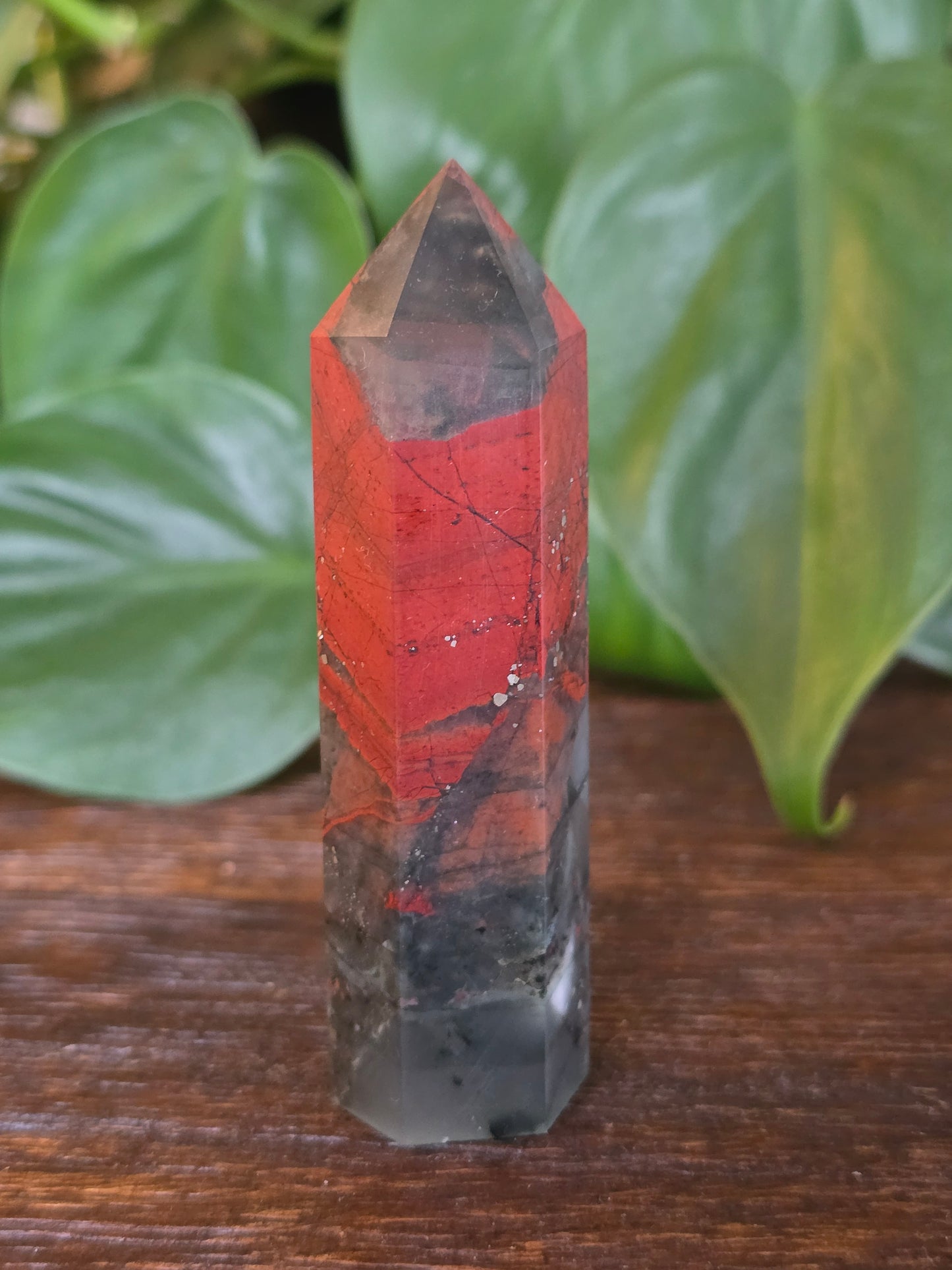 African Bloodstone Point "D"