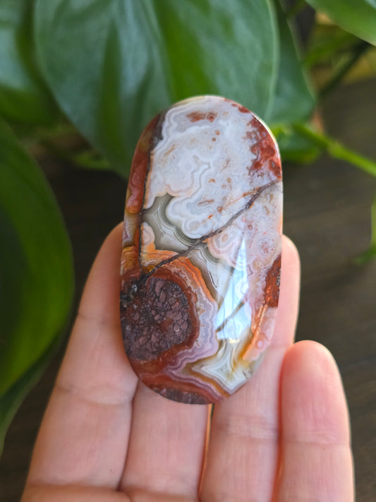 Red Mexican Crazy Lace Agate Palm Stone