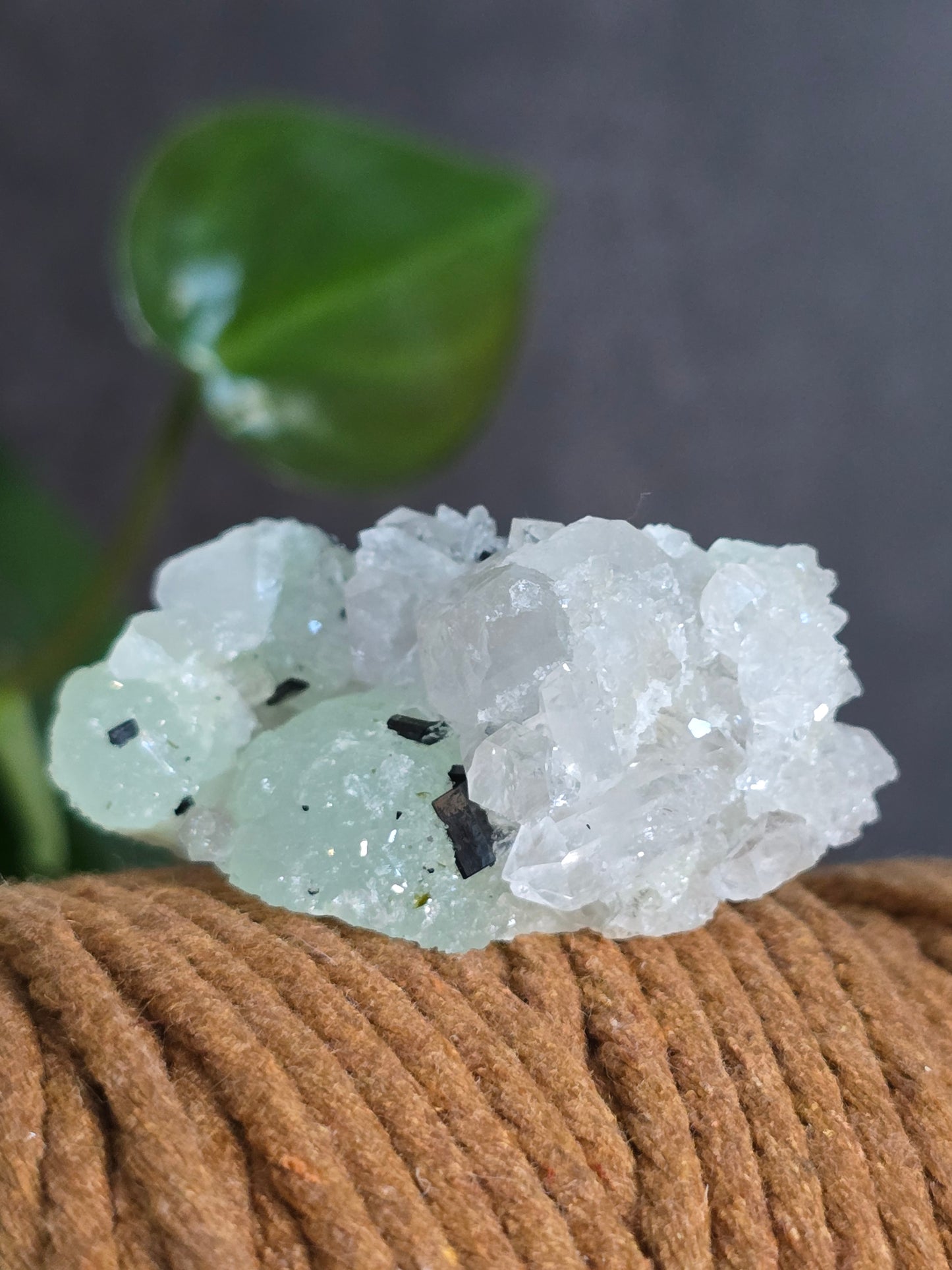 Prehnite and Epidote on Quartz Matrix