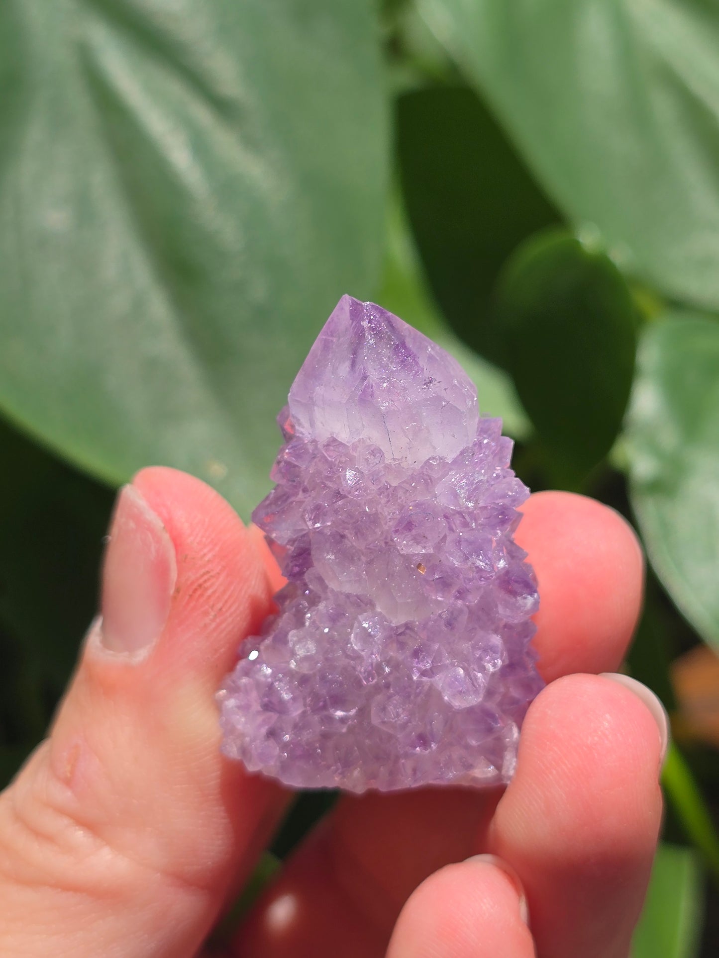 Amethyst Spirit Cactus Quartz Crystal Specimen "F"