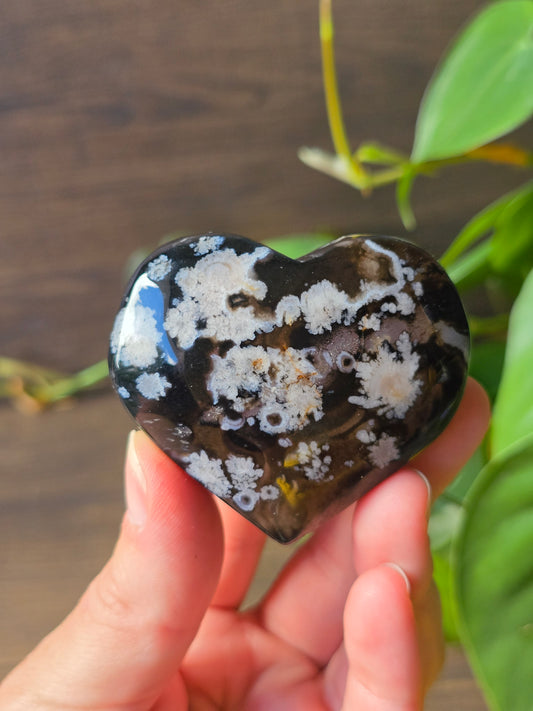 Black Flower Agate Heart