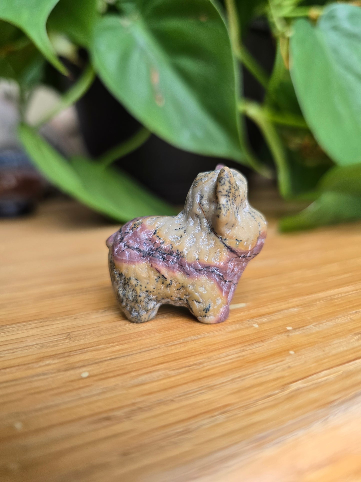 Picture Jasper Cow (Random Selection)