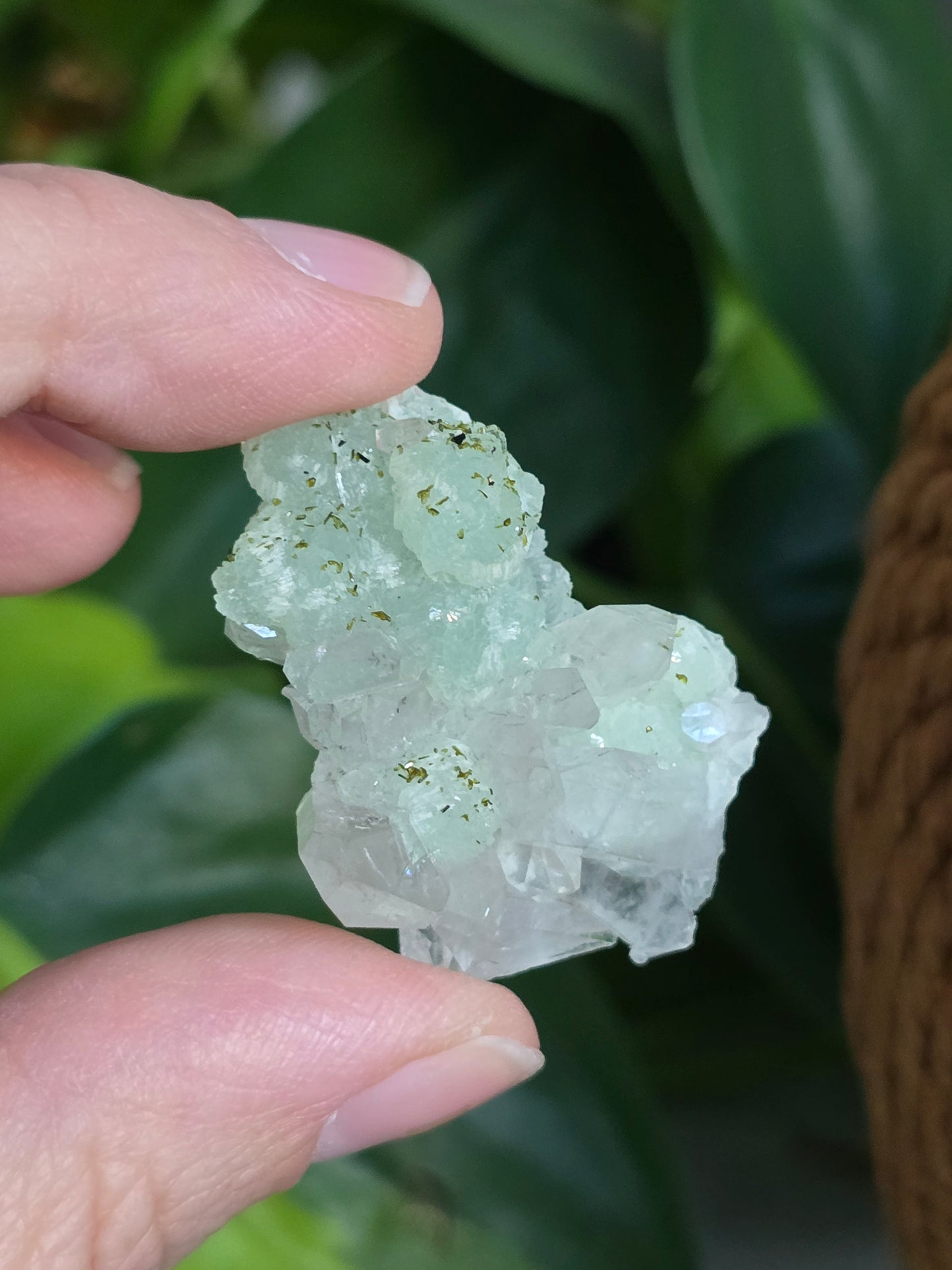 Prehnite and Epidote on Quartz Matrix