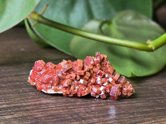Vanadinite Cluster