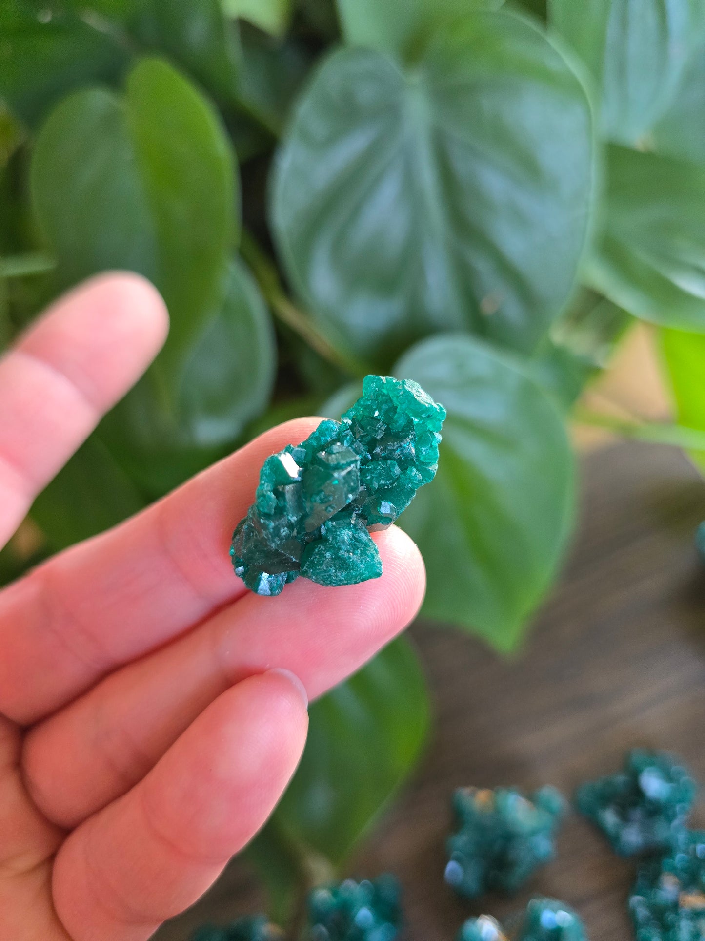 Dioptase Rough Specimen - Congo (23)