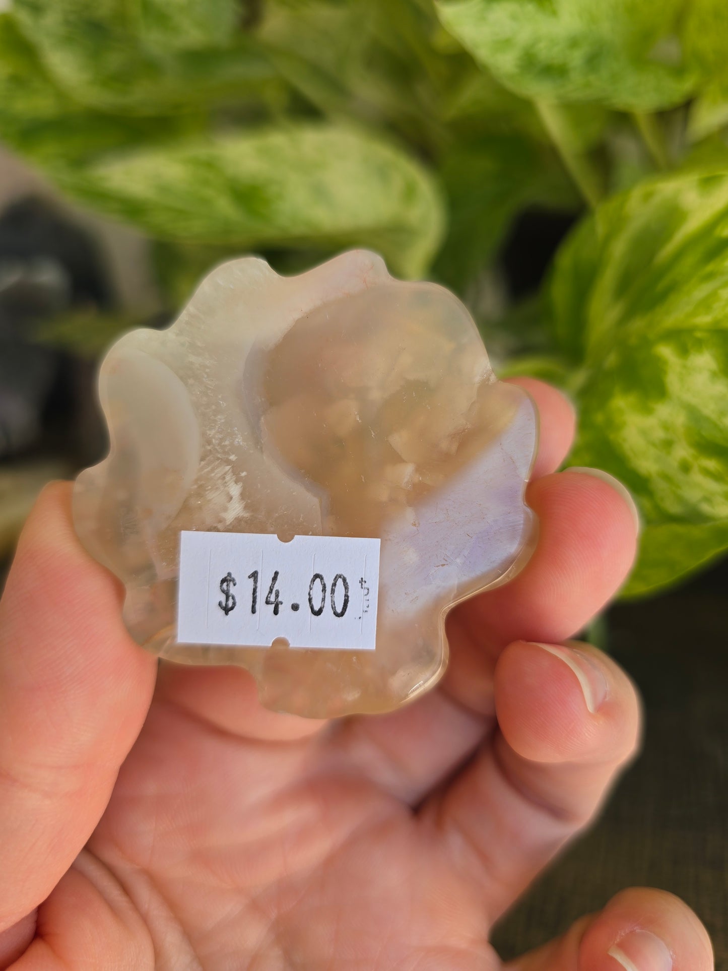 Flower Agate Fox Carving