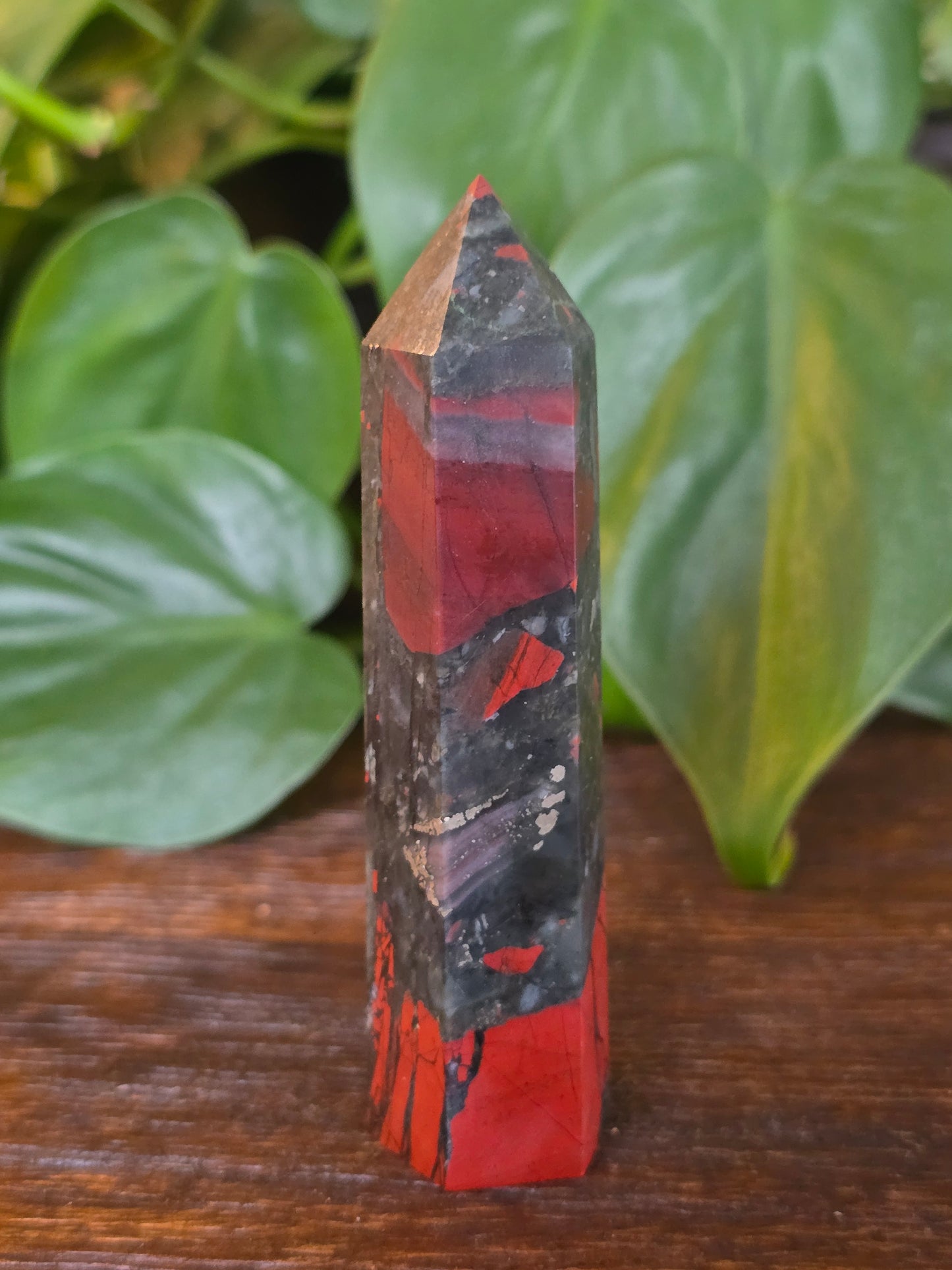 African Bloodstone Point "J"