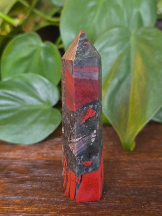 African Bloodstone Point "J"