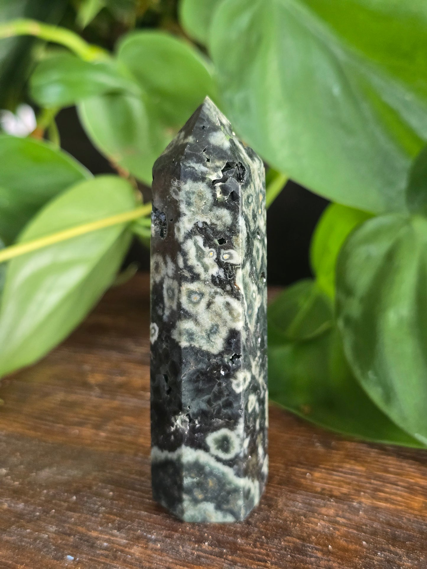 Green Ocean Jasper Tower "D"