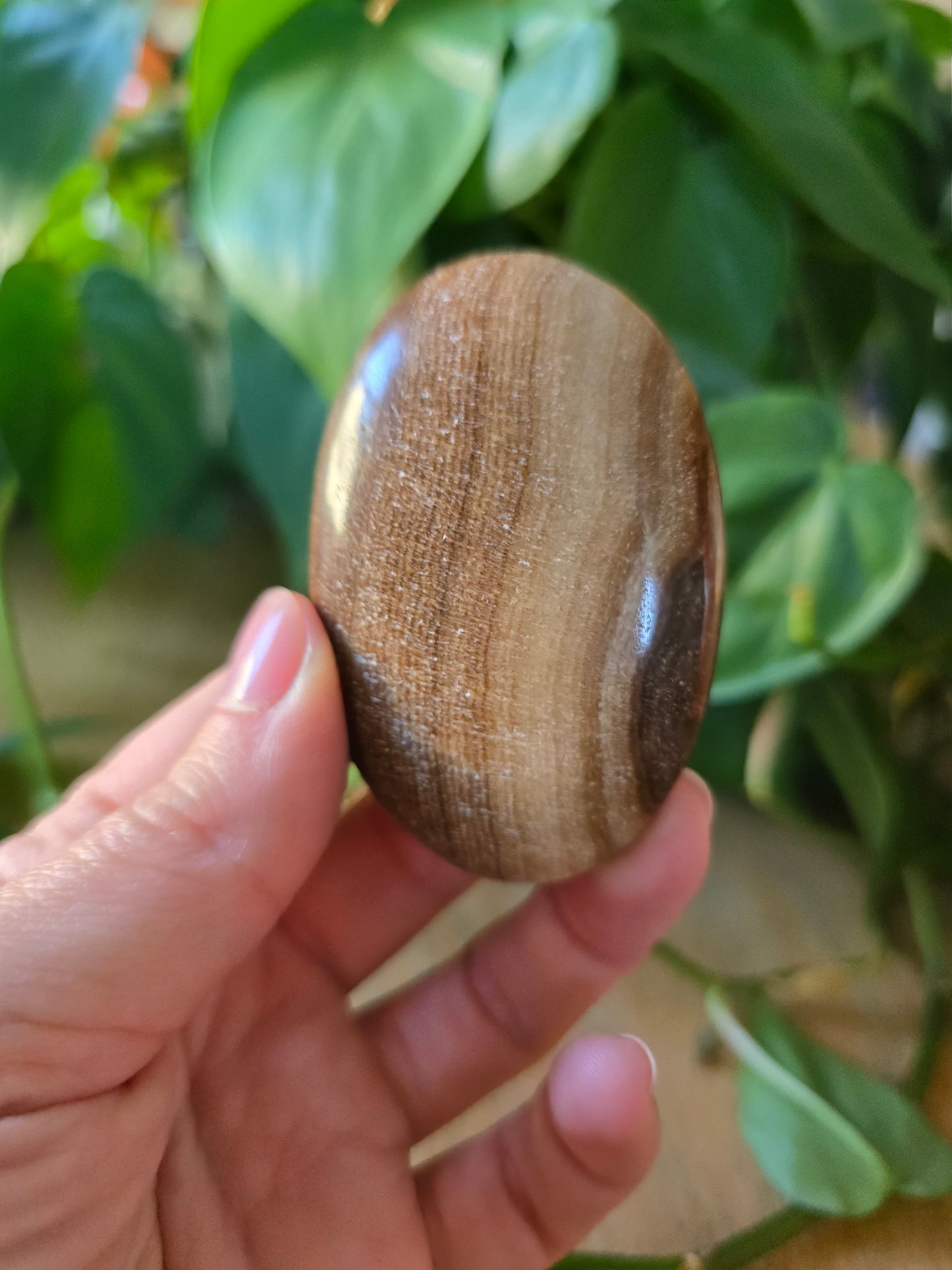 Chocolate Calcite Palm Stone