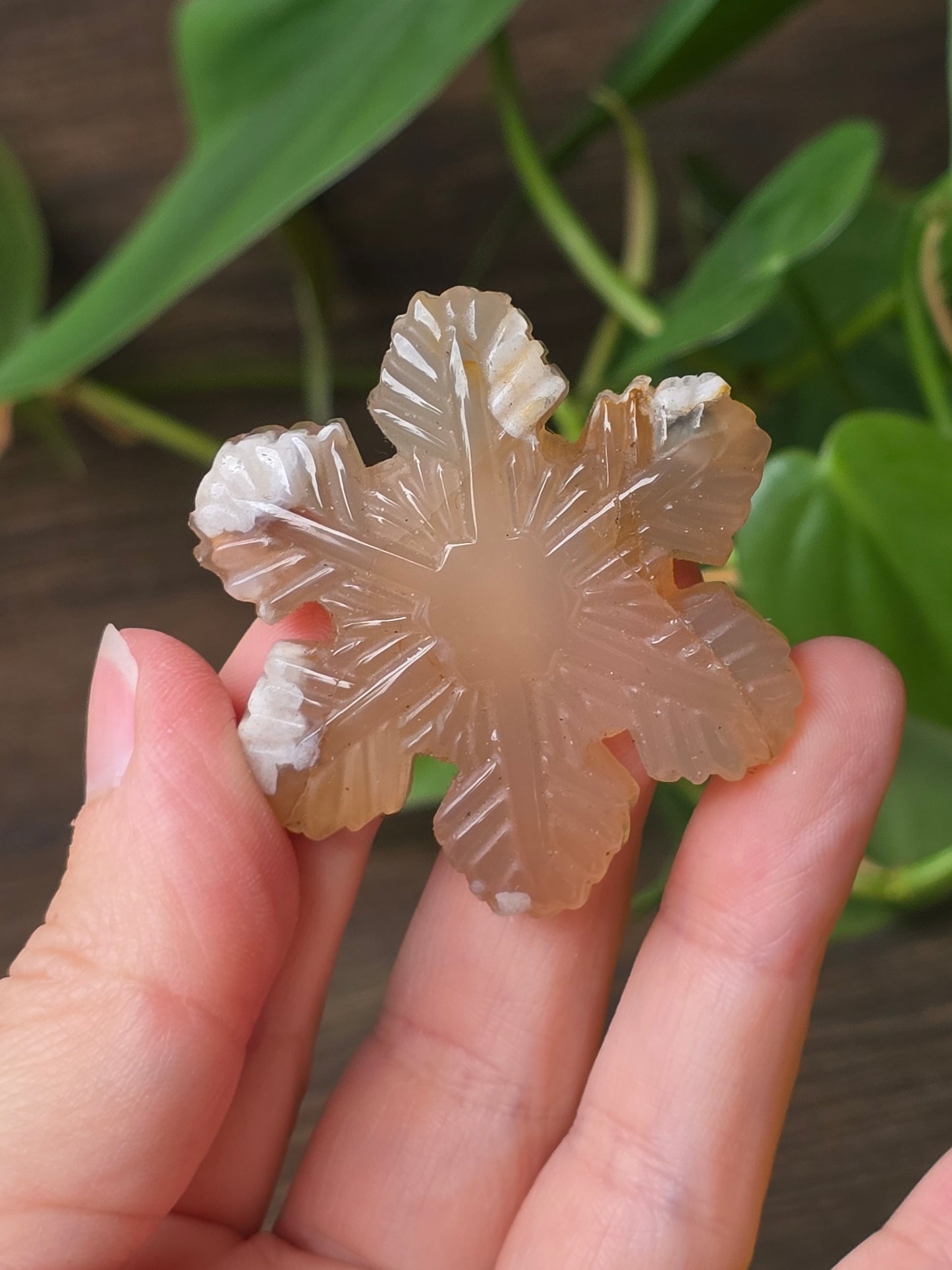 Flower Agate Snowflake