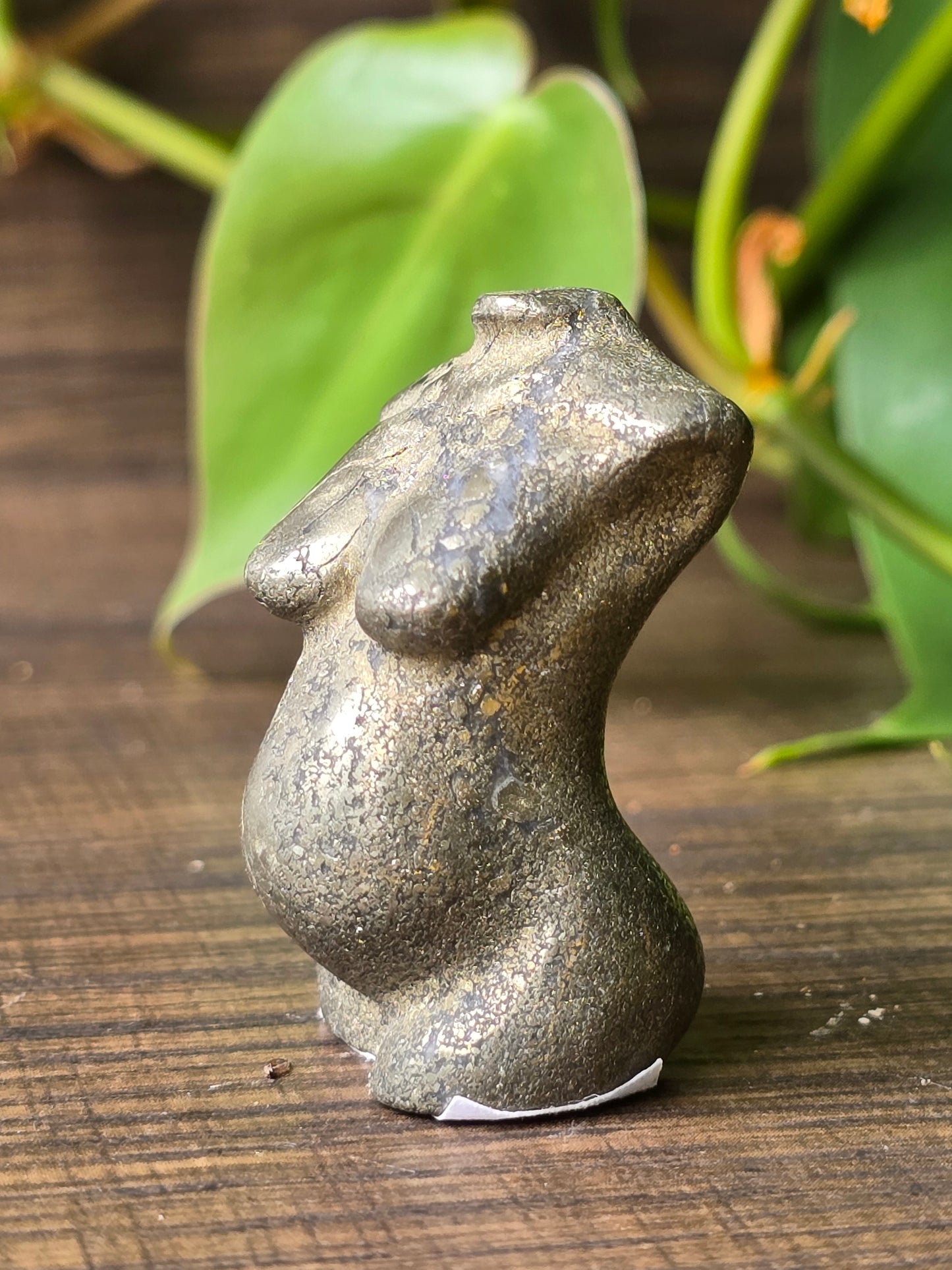 Pyrite Pregnant Female Torso
