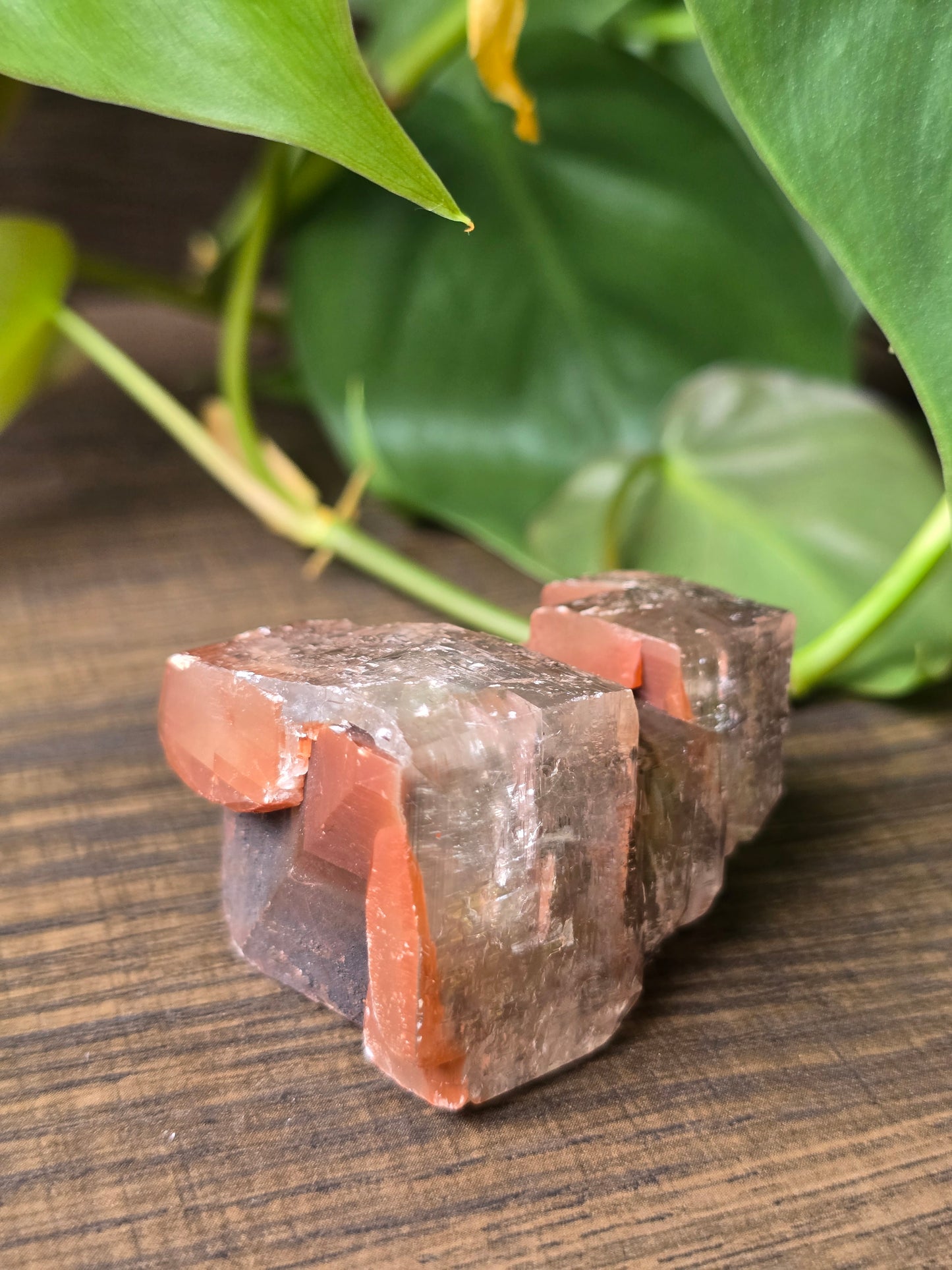 Chocolate Calcite Specimen
