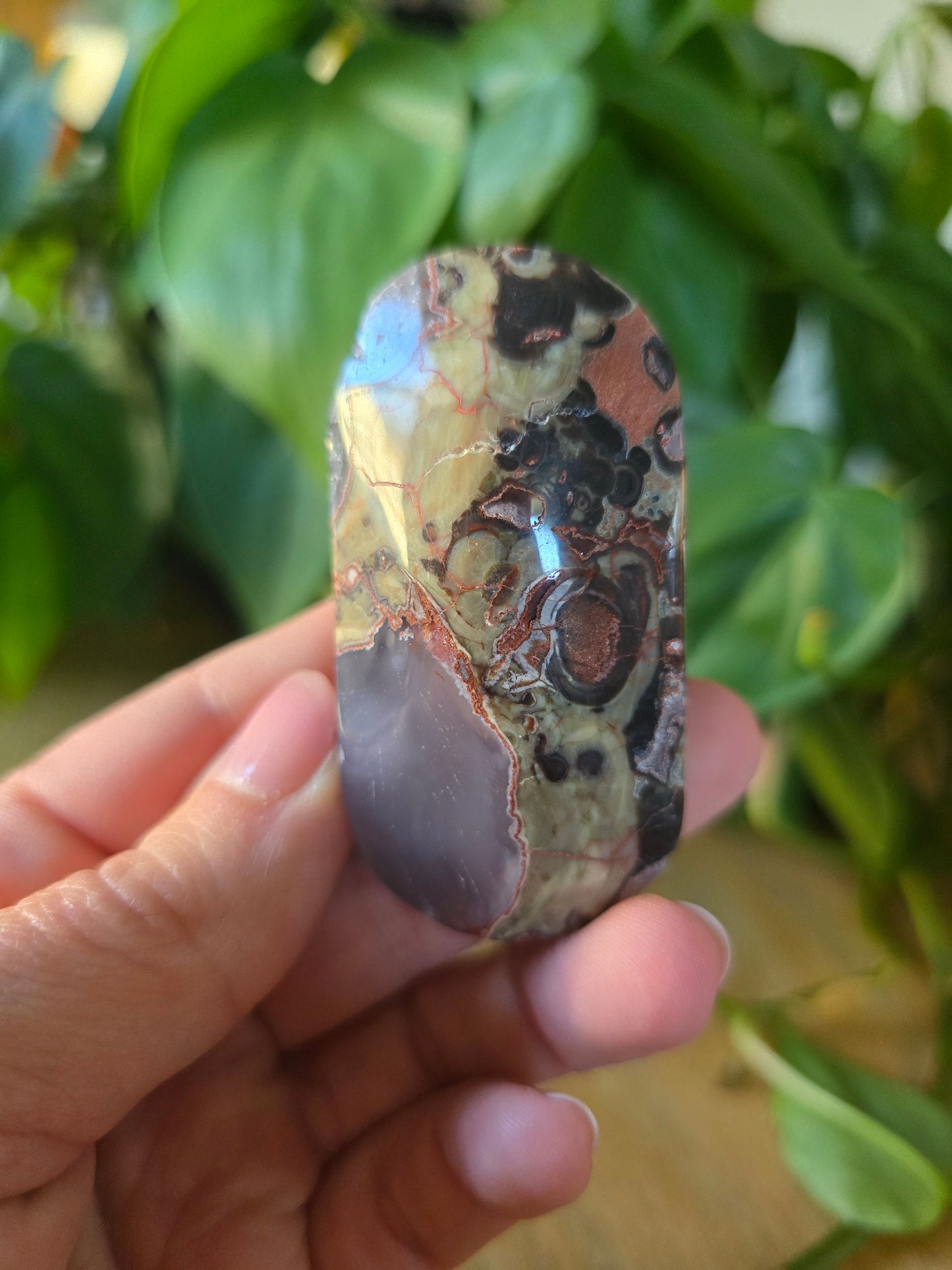Money Agate Palm Stone
