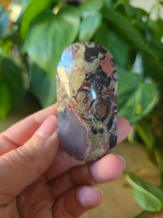 Money Agate Palm Stone
