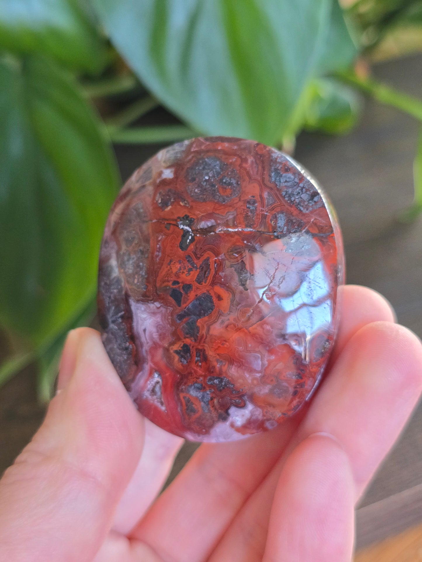 Red Mexican Crazy Lace Agate Palm Stone