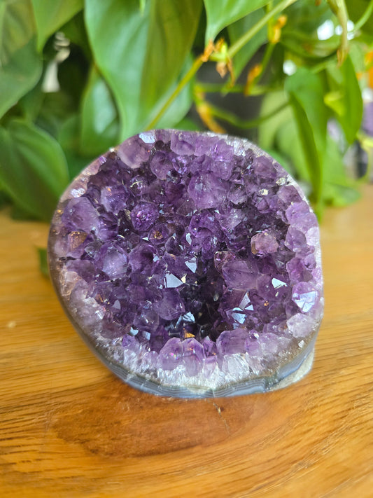 Druzy Amethyst Cluster