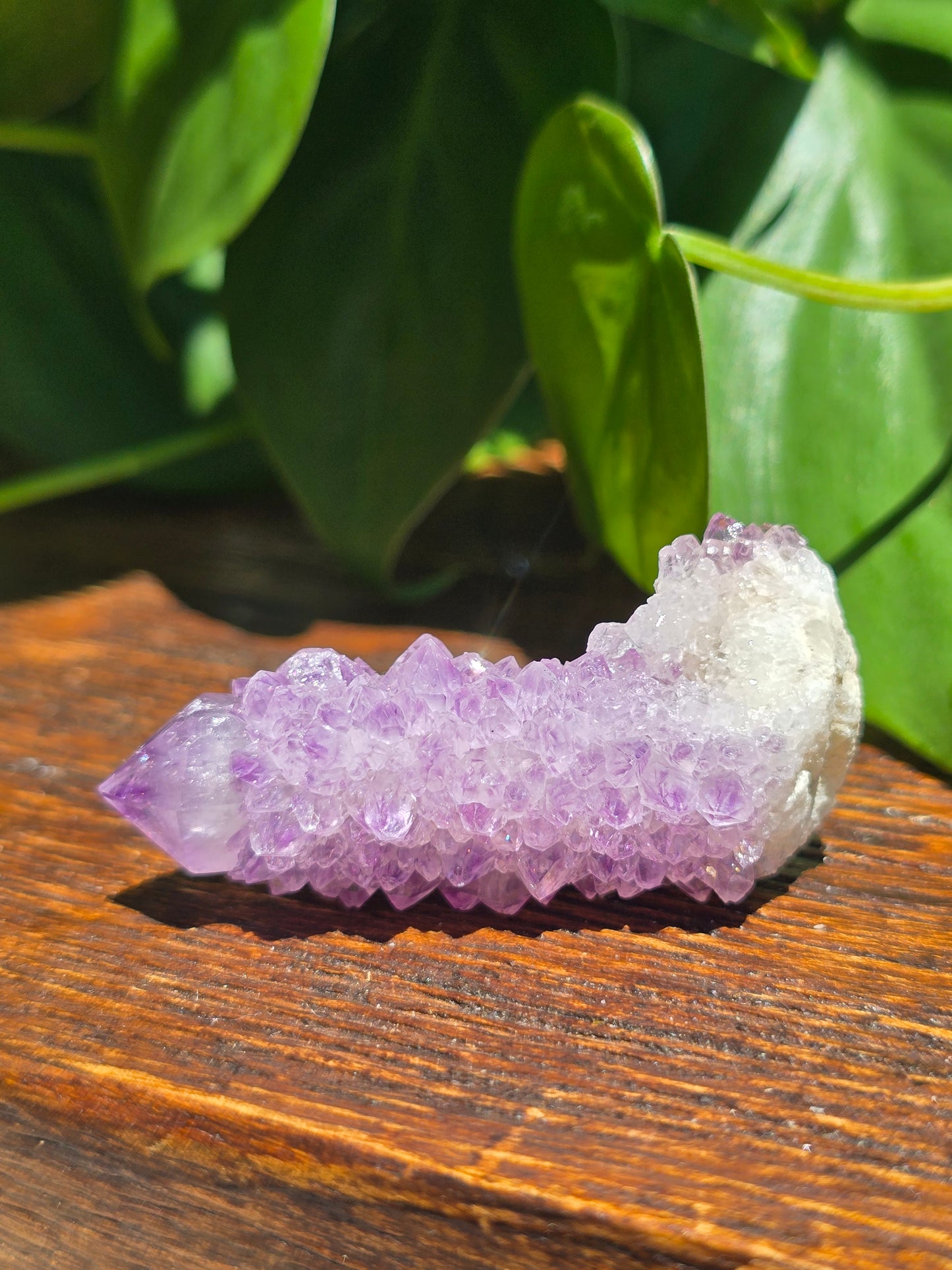 Amethyst Spirit Cactus Quartz Crystal Specimen "C"
